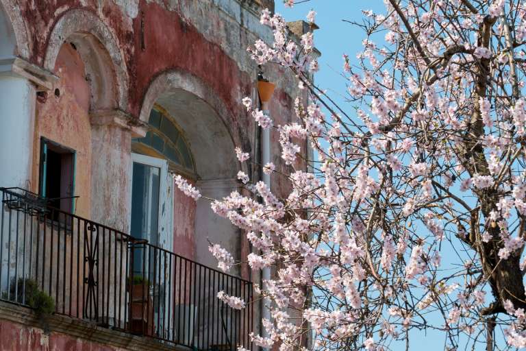 Offerta Aprile e Maggio a Ischia 7 Notti